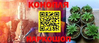 шишки Нальчик