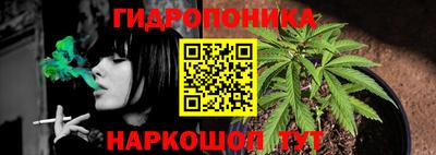 сатива Нарткала