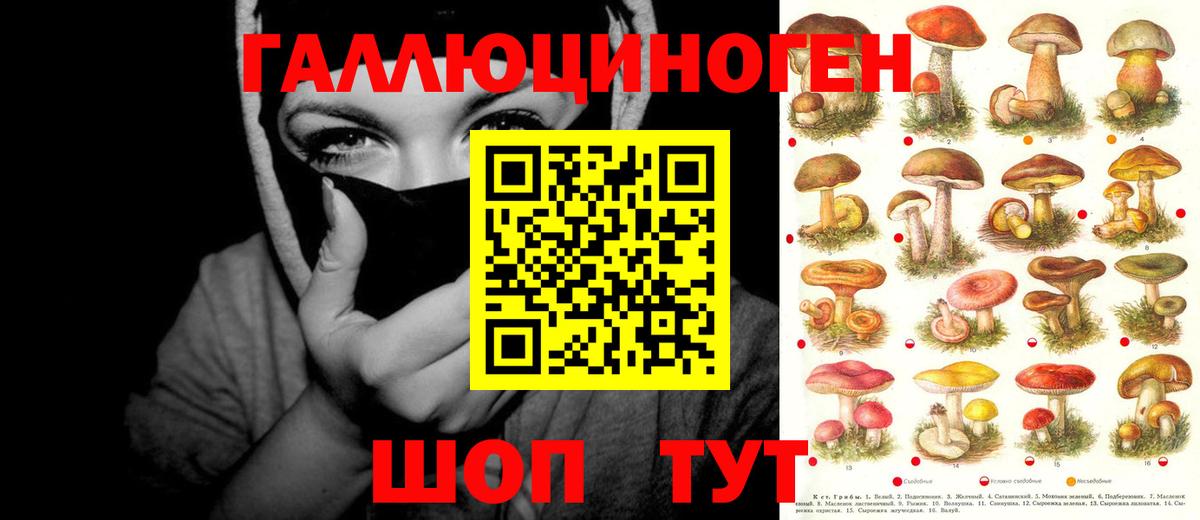 Галлюциногенные грибы Psilocybine cubensis  Псилоцибиновые грибы мухоморы  Урюпинск  Вход с VPN 